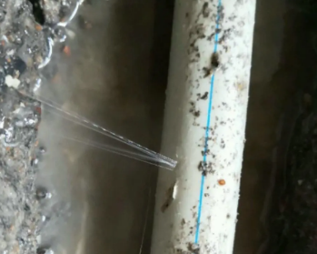 大理卫生间测漏水多少钱
